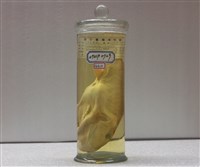 藏品(月尾兔頭魨)的圖片